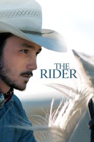 The Rider (2017)