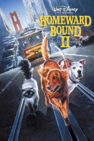 Homeward Bound II: Lost in San F...