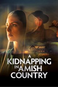 A Kidnapping in Amish Country (2...