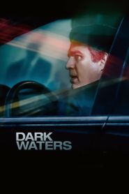 Dark Waters (2019)