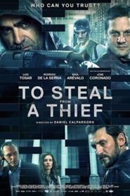 To Steal from a Thief (2016)