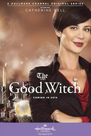 The Good Witch’s Wonder (2...
