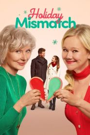 Holiday Mismatch (2024)