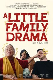 A Little Family Drama (2025)