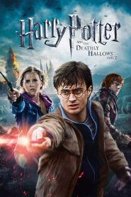 Harry Potter and the Deathly Hallows Part 2 (2011)