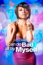 I Can Do Bad All by Myself (2009...
