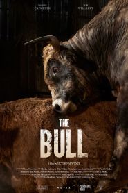 The Bull (2024)