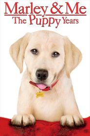Marley and Me The Puppy Years (2011)