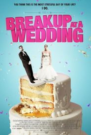 Breakup at a Wedding (2013)