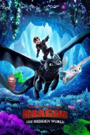 How to Train Your Dragon: The Hi...