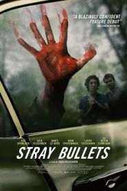 Stray Bullets (2016)