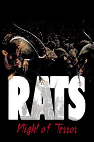 Rats Night of Terror (1984)