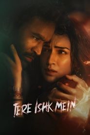 Tere Ishk Mein (2025)