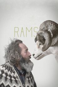 Rams (2015)