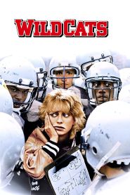 Wildcats (1986)