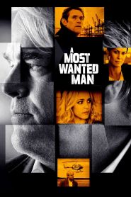 A Most Wanted Man (2014)