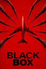 Black Box (2026)