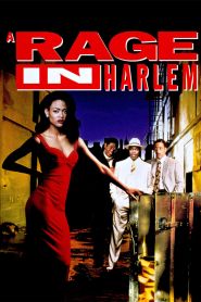 A Rage in Harlem (1991)