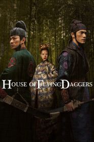 House of Flying Daggers (2004)