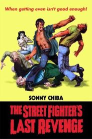 The Streetfighter’s Last Revenge (1974)