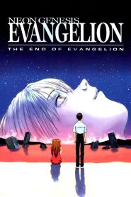 Neon Genesis Evangelion: The End...