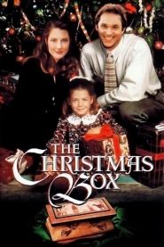 The Christmas Box (1995)