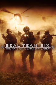 Seal Team Six: The Raid on Osama...