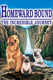 Homeward Bound: The Incredible J...
