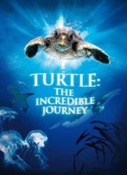 Turtle The Incredible Journey (2...
