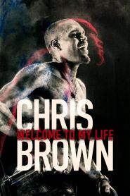Chris Brown: Welcome to My Life (2017)
