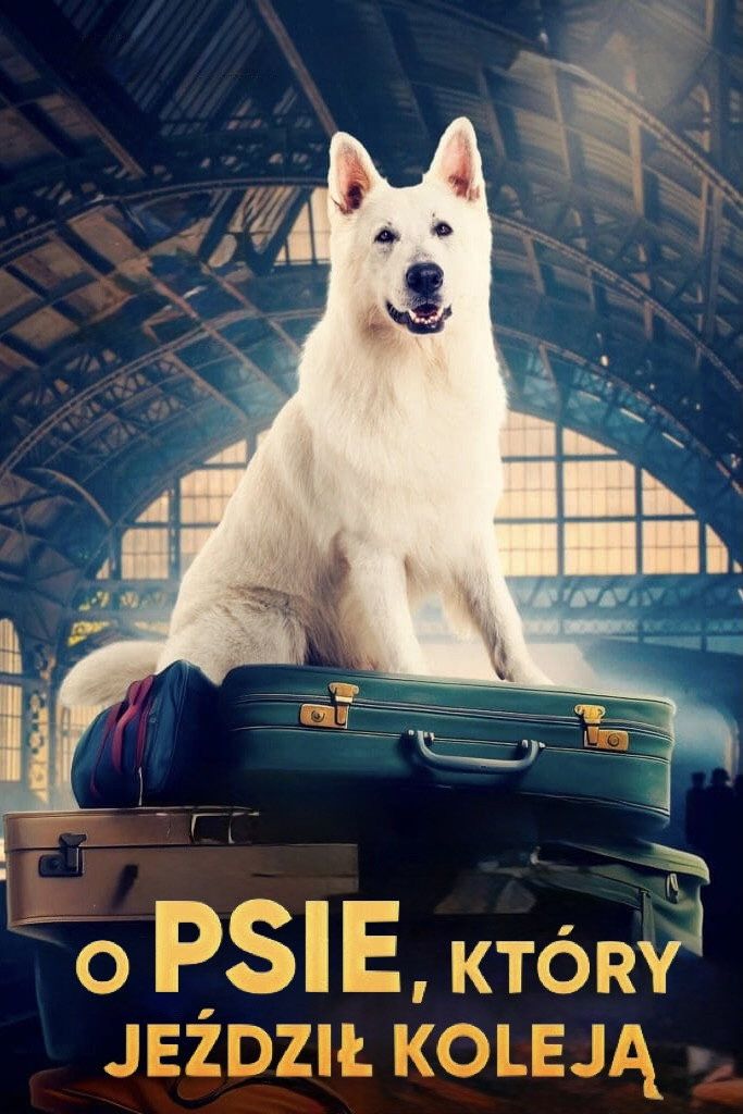 Lampo, the Travelling Dog (2023)